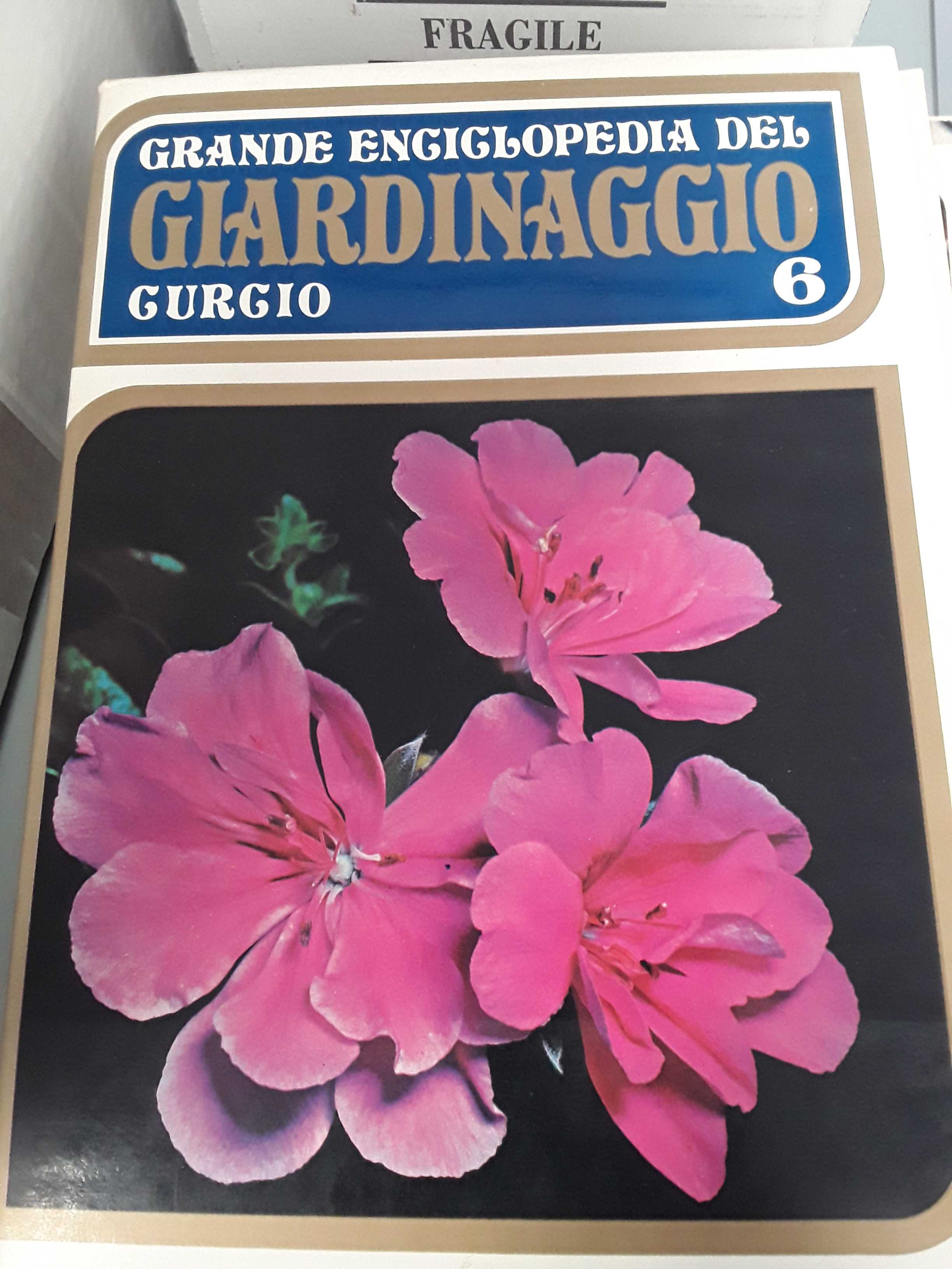Libro