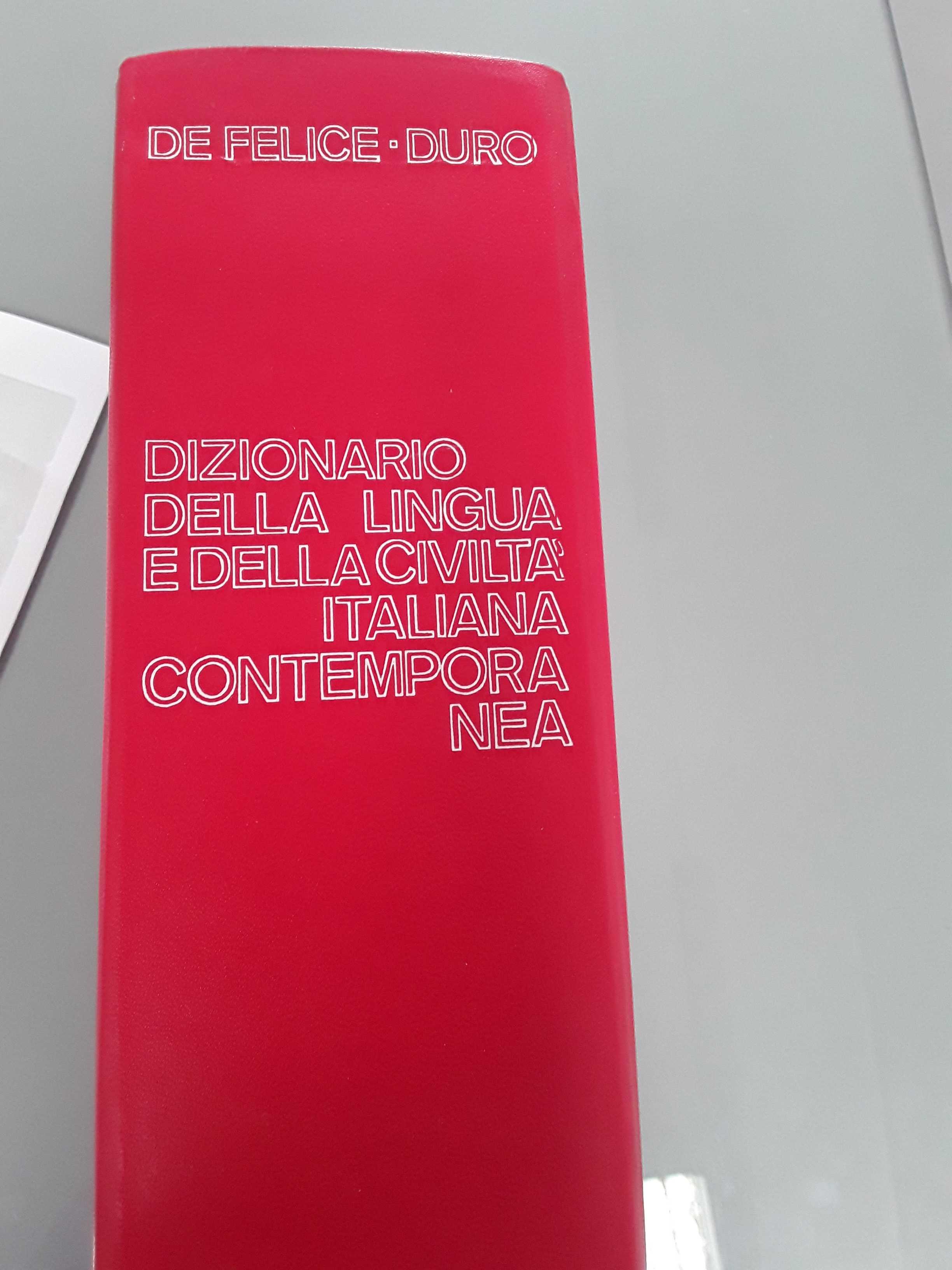 Dizionario 