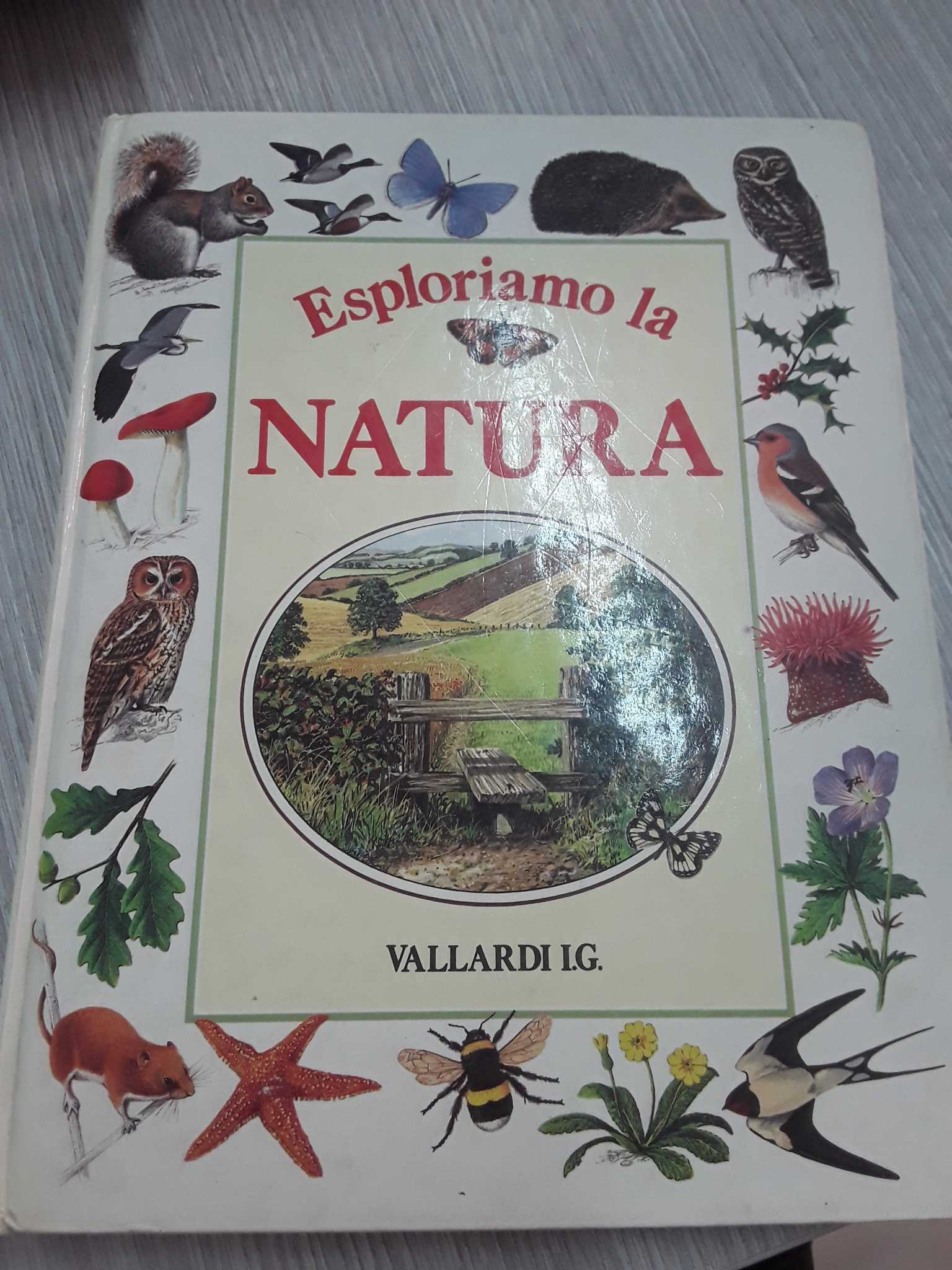 Libro 