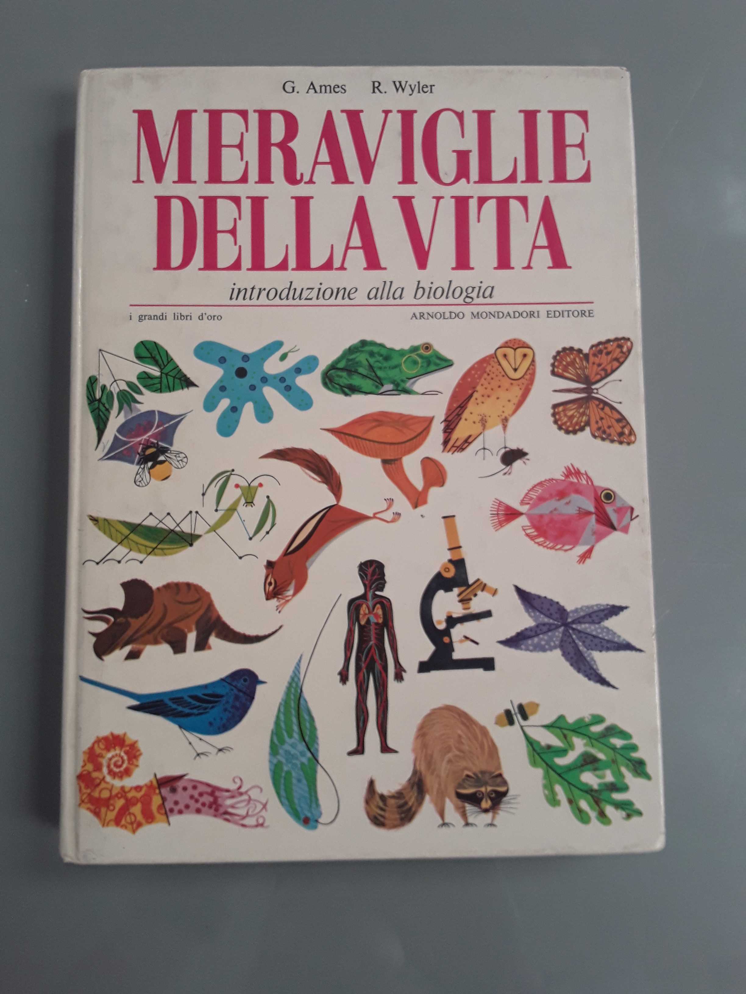 libro