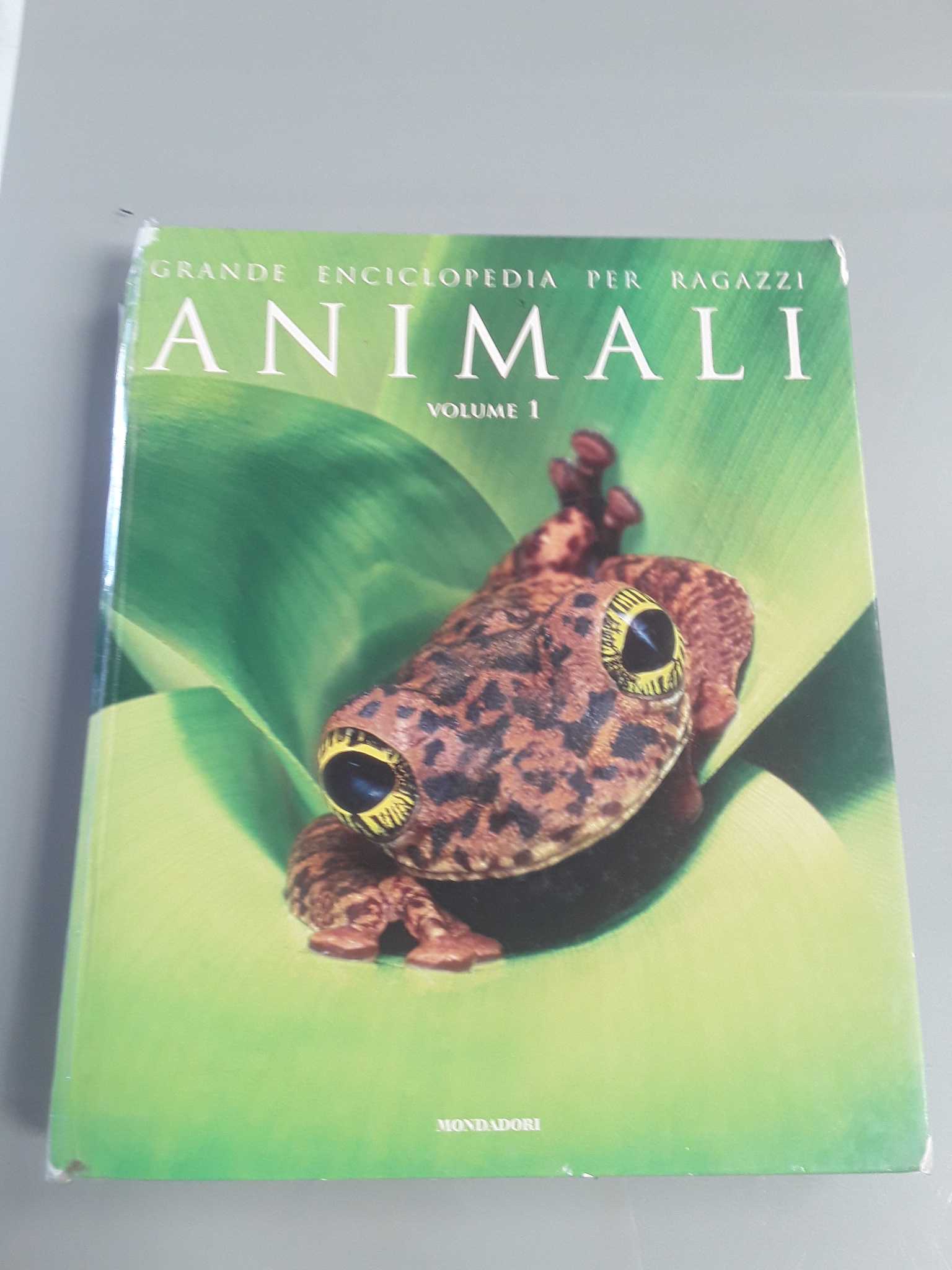 Libro 