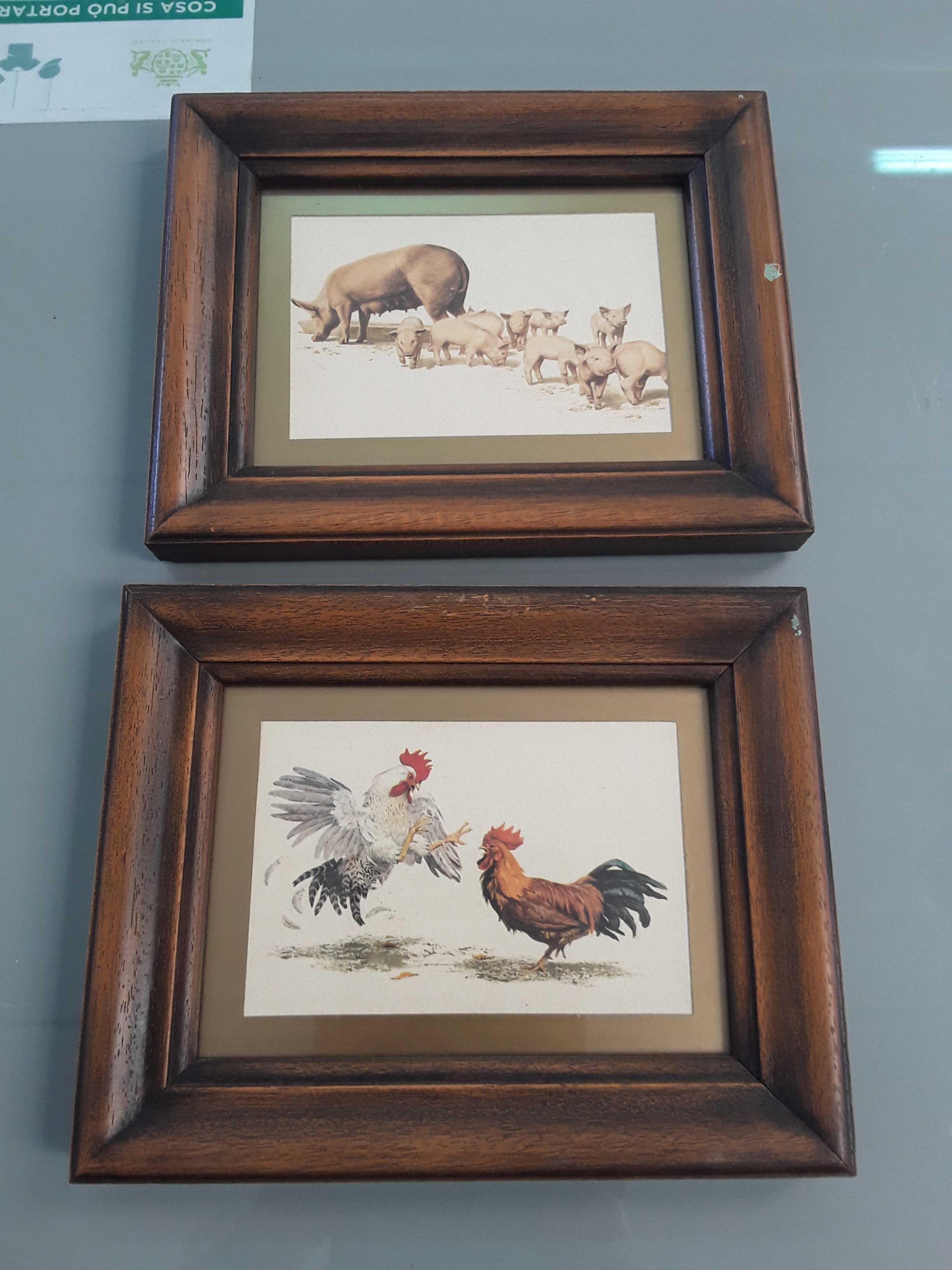 Quadretti