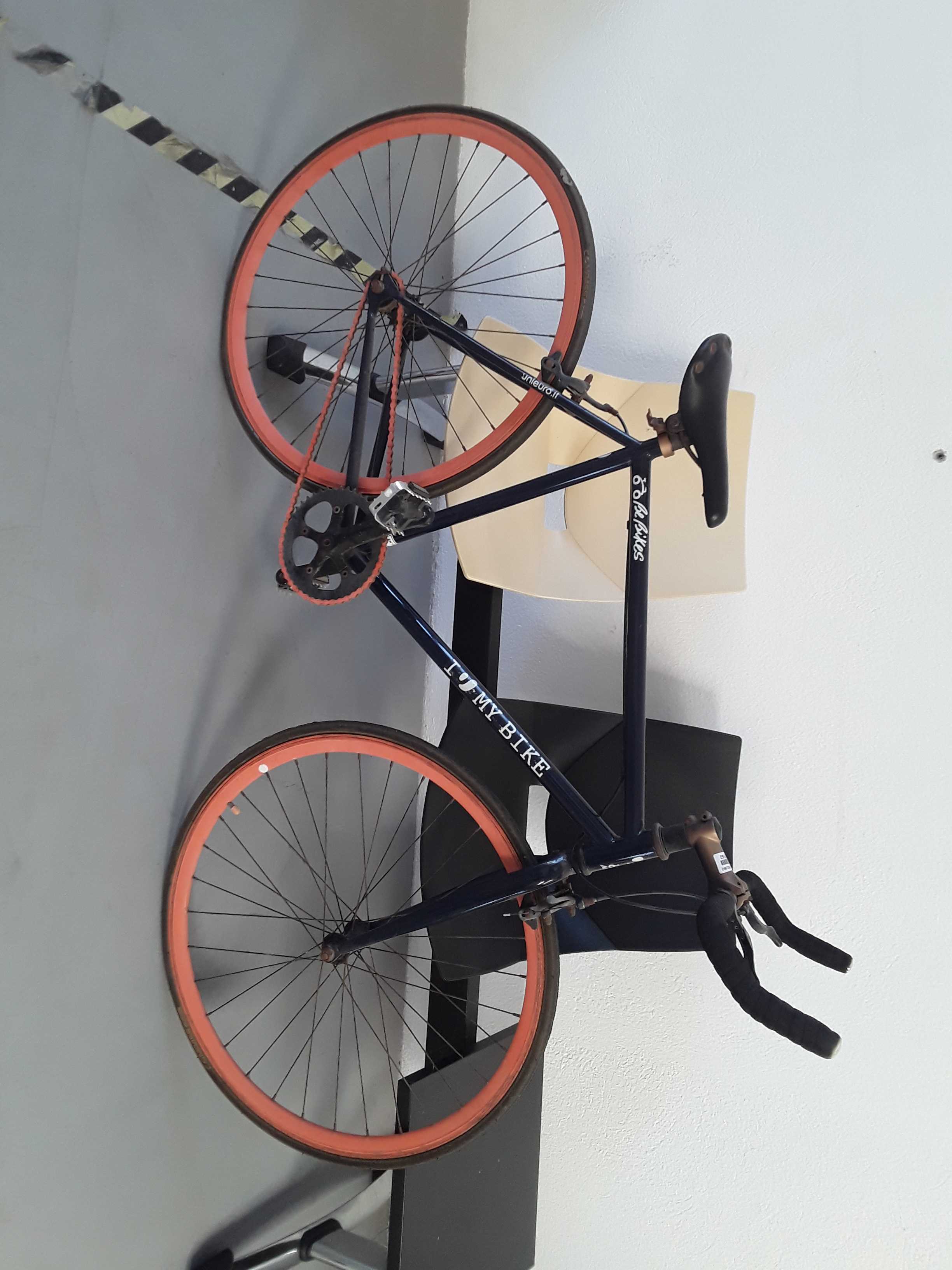 Bicicletta 