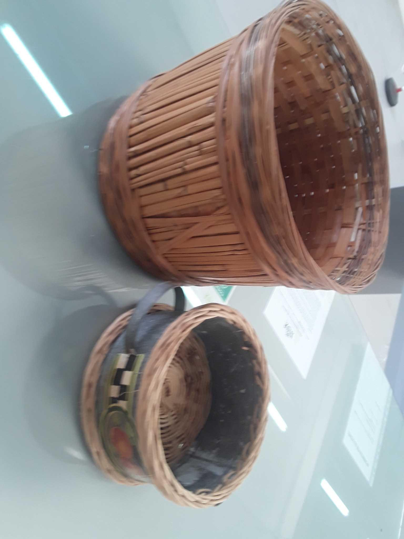 Cestini